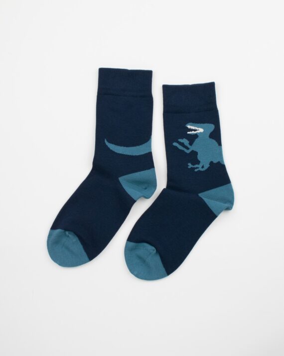 mensdinosaurbluecrewsocks